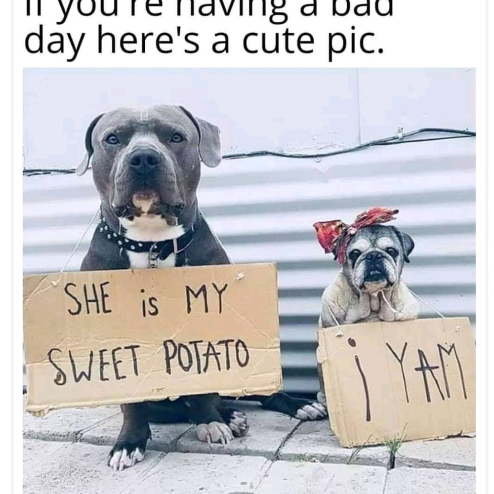 Sweetness